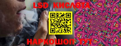 PSILOCYBIN Бийск