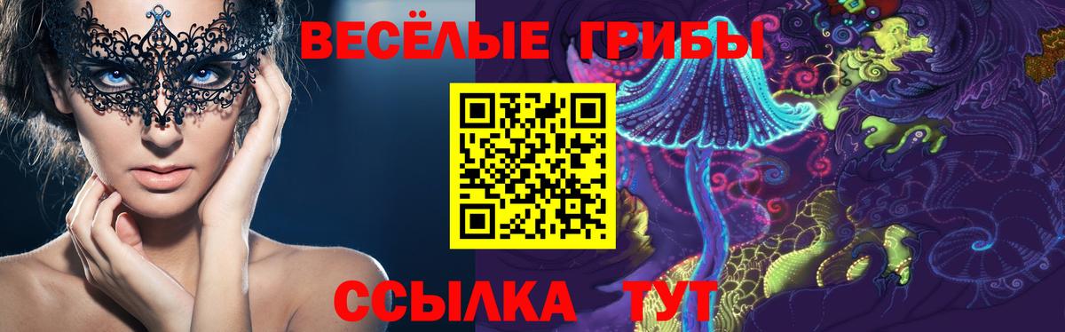 Псилоцибиновые грибы прущие грибы  Вход с VPN  Зеленокумск 